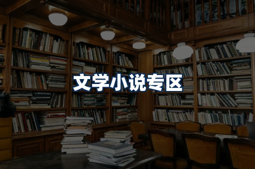 文学小说PDF展示